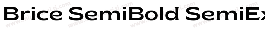 Brice SemiBold SemiExpanded字体转换